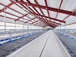 Image author: https://nobe.ee/