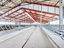 Image author: https://nobe.ee/