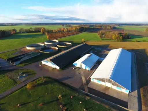 Image author: https://www.kmoy.ee/